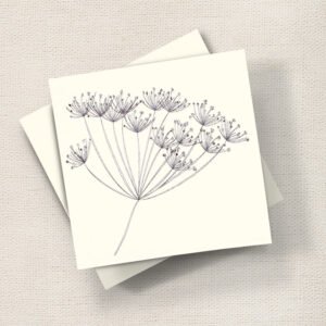 Cow Parsley (Mono)