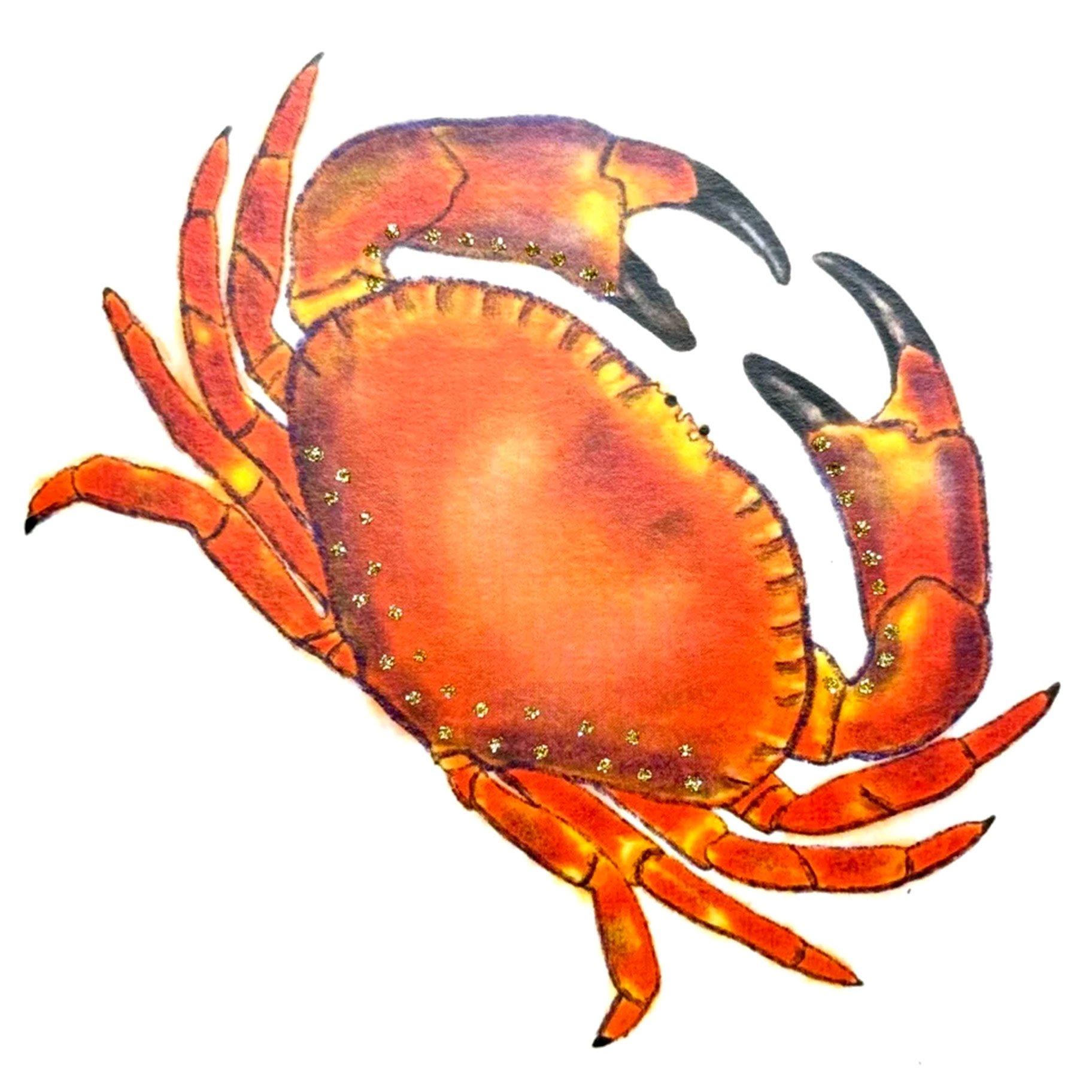 Crab English Graphics