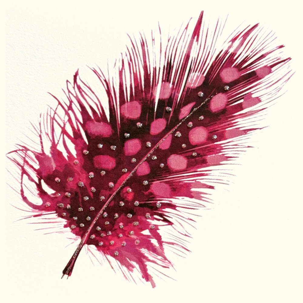 Feather (Crimson) English Graphics