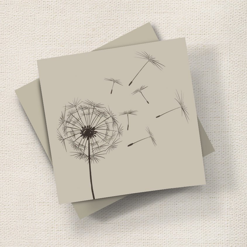 Dandelion English Graphics