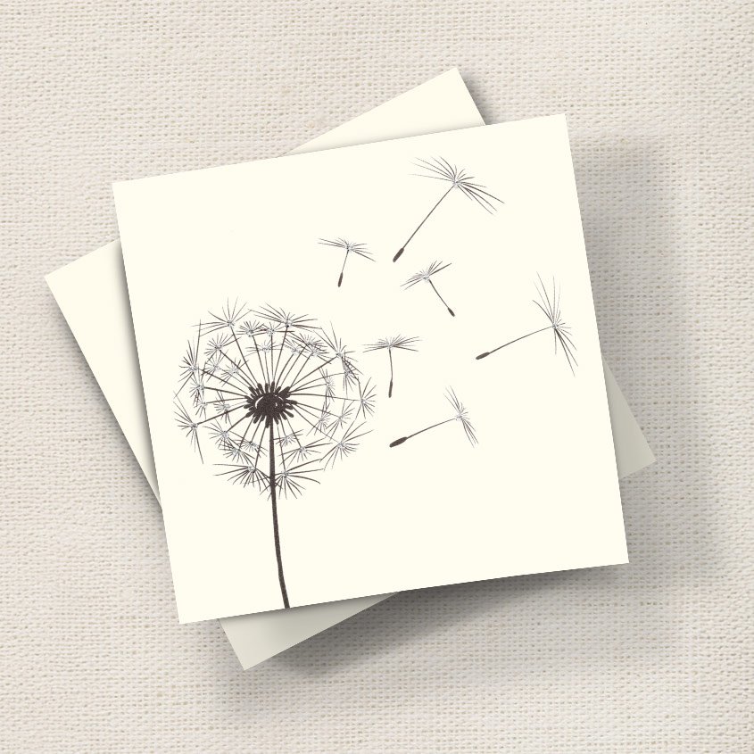 Dandelion