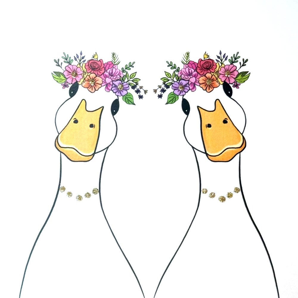 Duck Brides English Graphics