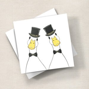 Duck Grooms