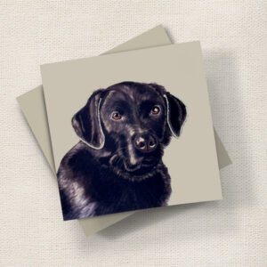 Faithful Labrador
