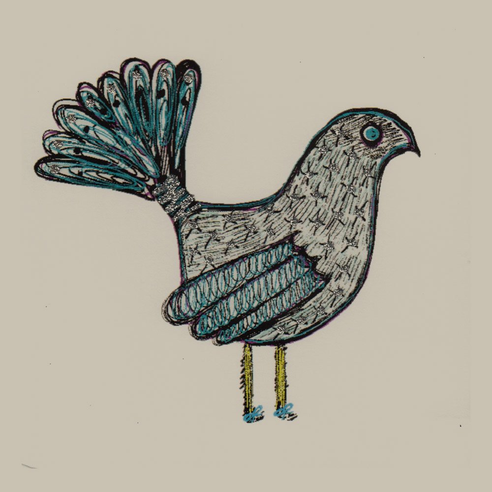 Fantail Bird - Image 3
