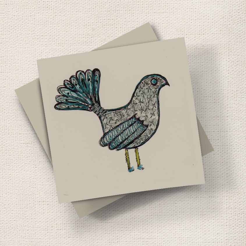Fantail Bird English Graphics