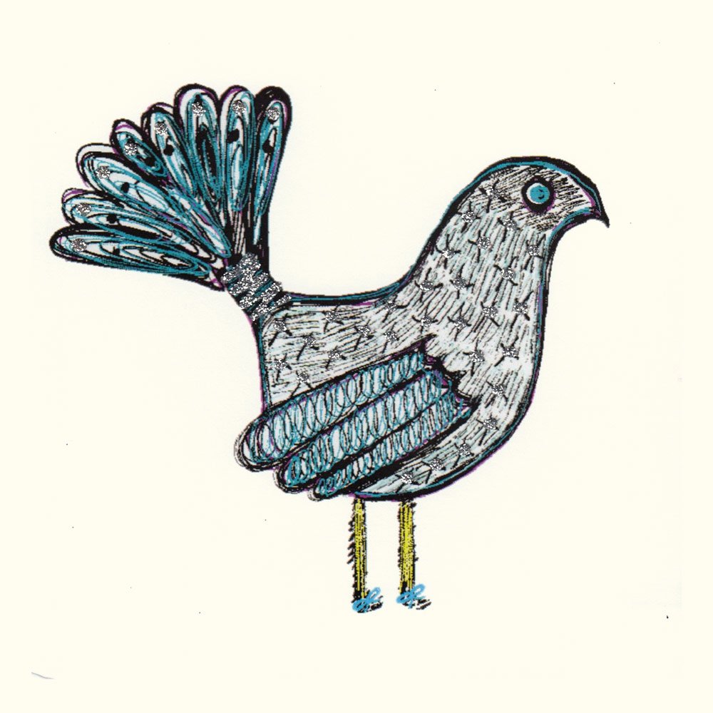 Fantail Bird - Image 2