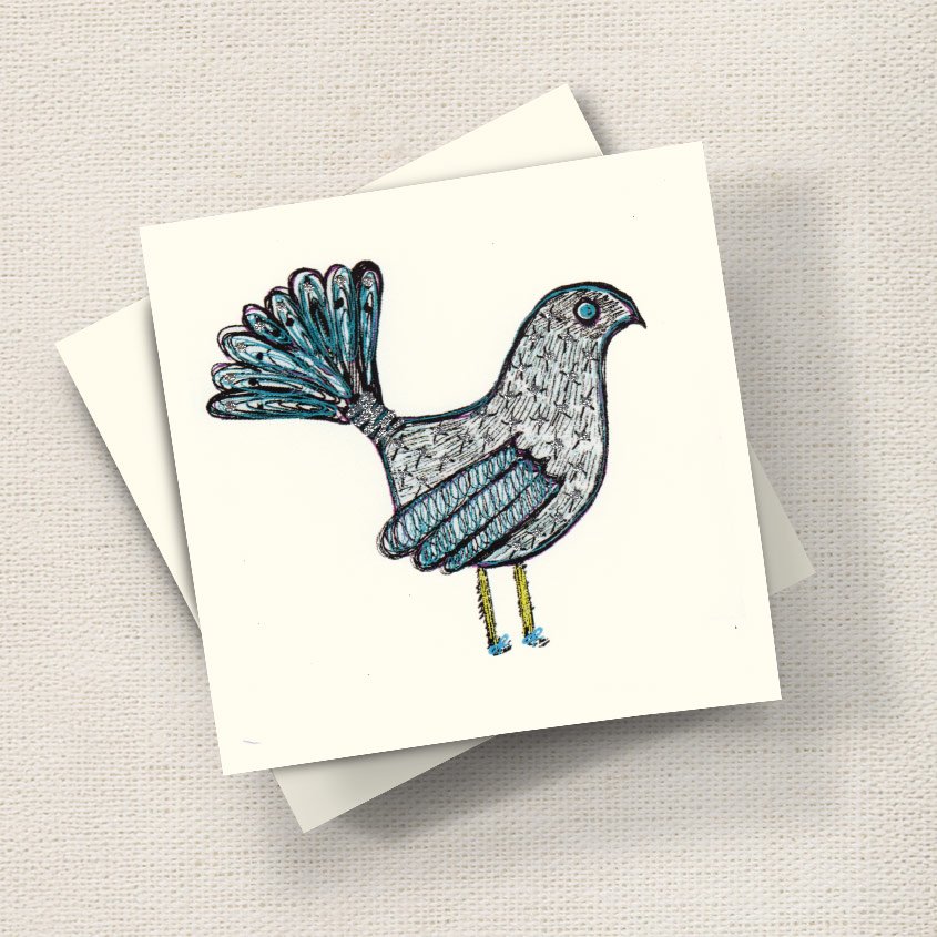 Fantail Bird