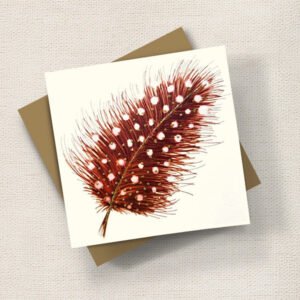 Feather (Brown)