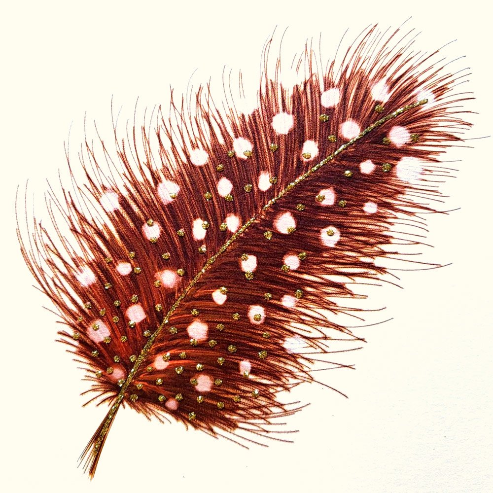Feather (Brown) English Graphics