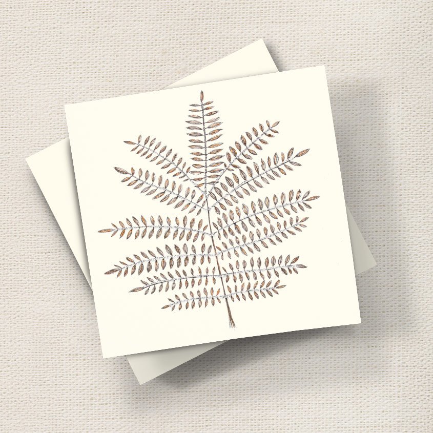Fern