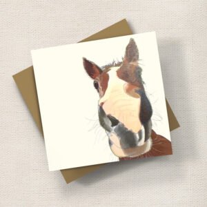 Forest Pony