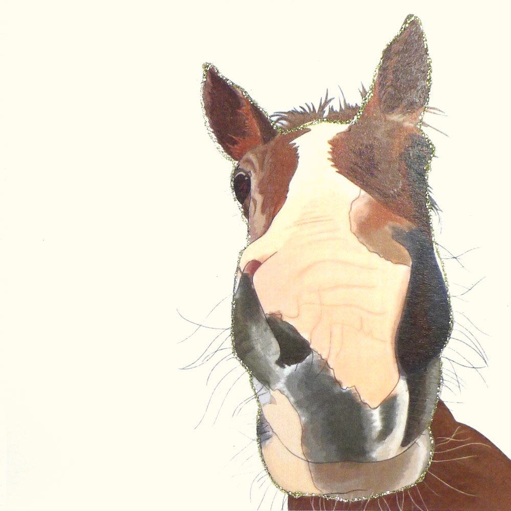 Forest Pony English Graphics