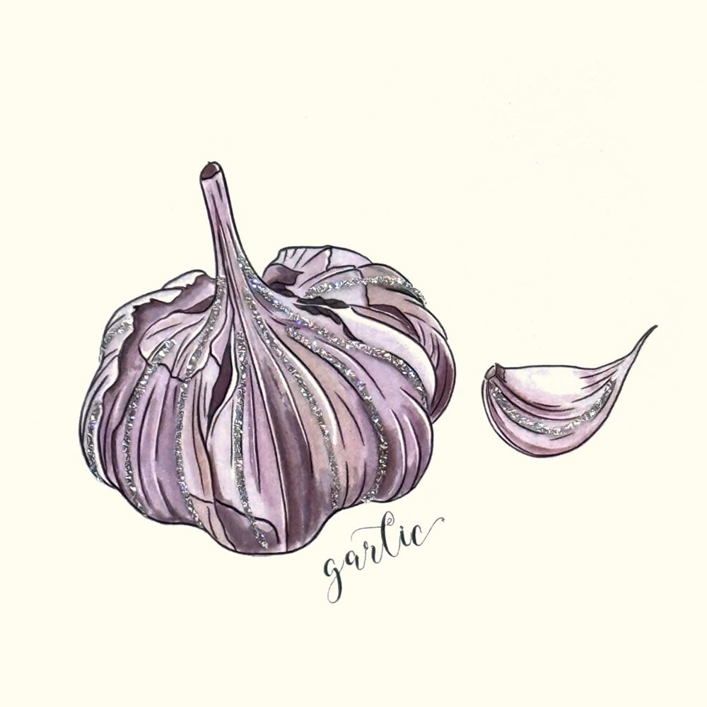 Garlic English Graphics