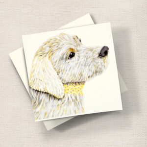 Golden Labrador
