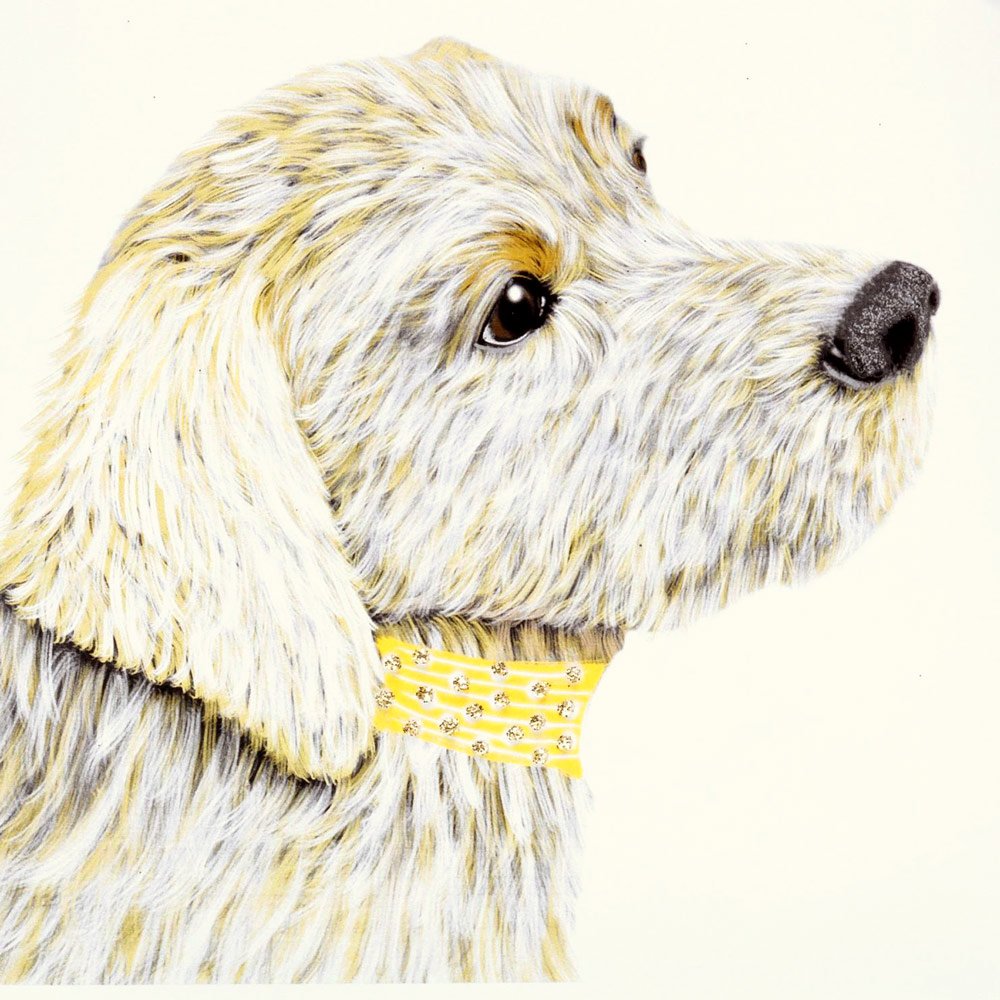Golden Labrador English Graphics