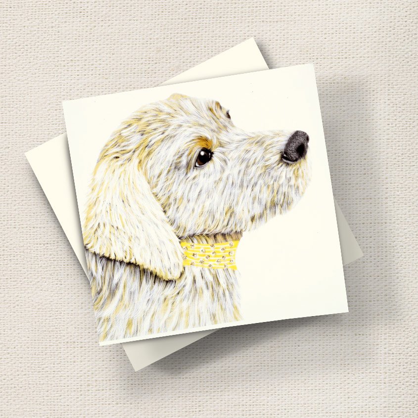 Golden Labrador