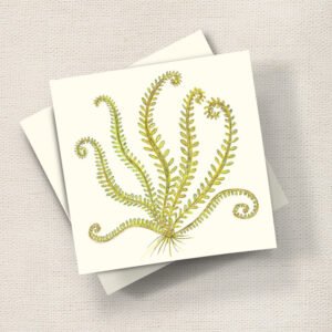 Green Fern