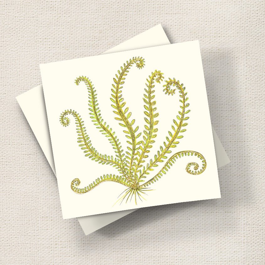 Green Fern