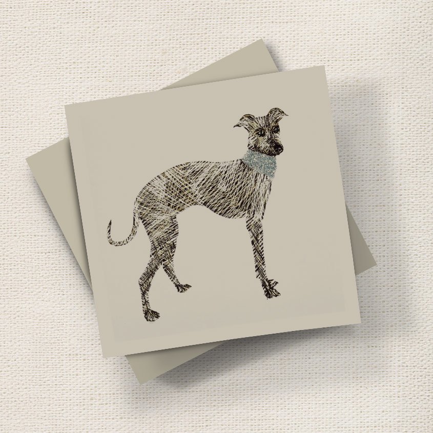 Greyhound English Graphics