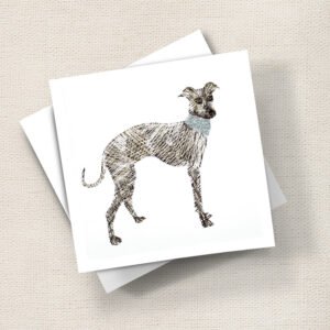 Greyhound