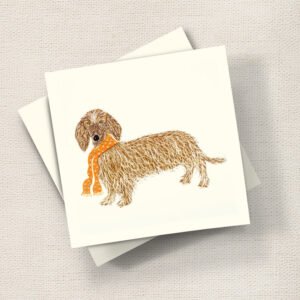 Hairy Dachshund