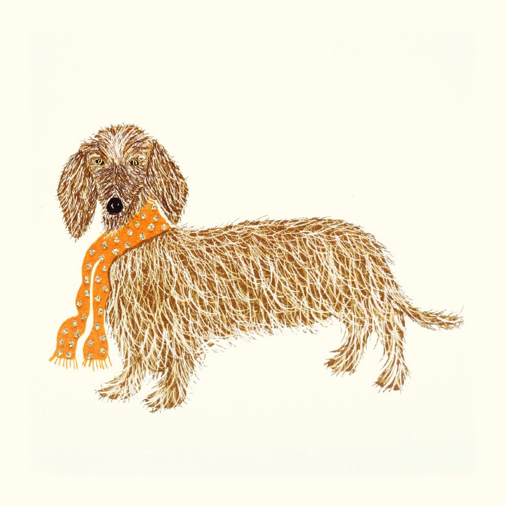 Hairy Dachshund English Graphics