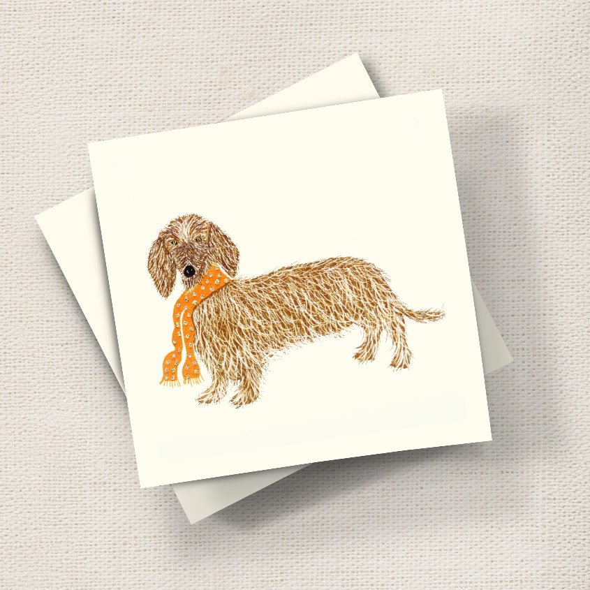Hairy Dachshund