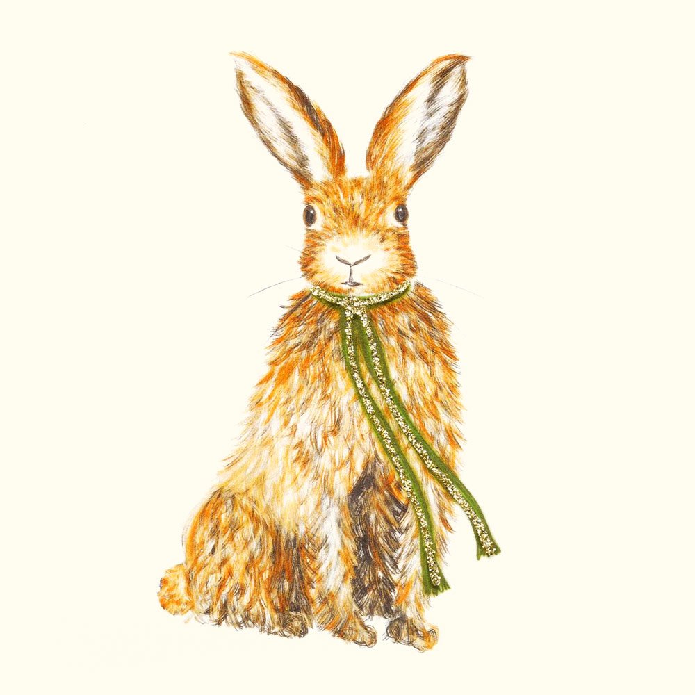 Hare With Scarf English Graphics