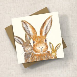 Animal Cards