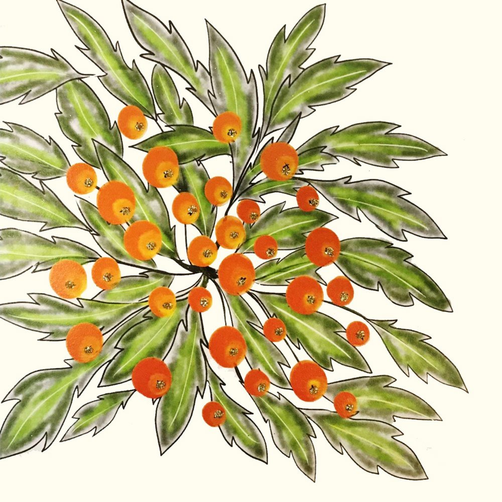 Hawthorn Berries English Graphics