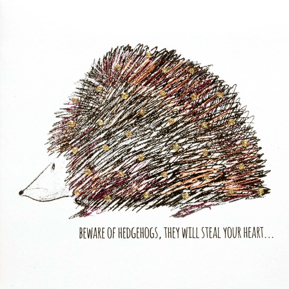 Hedgehog (Beware) English Graphics