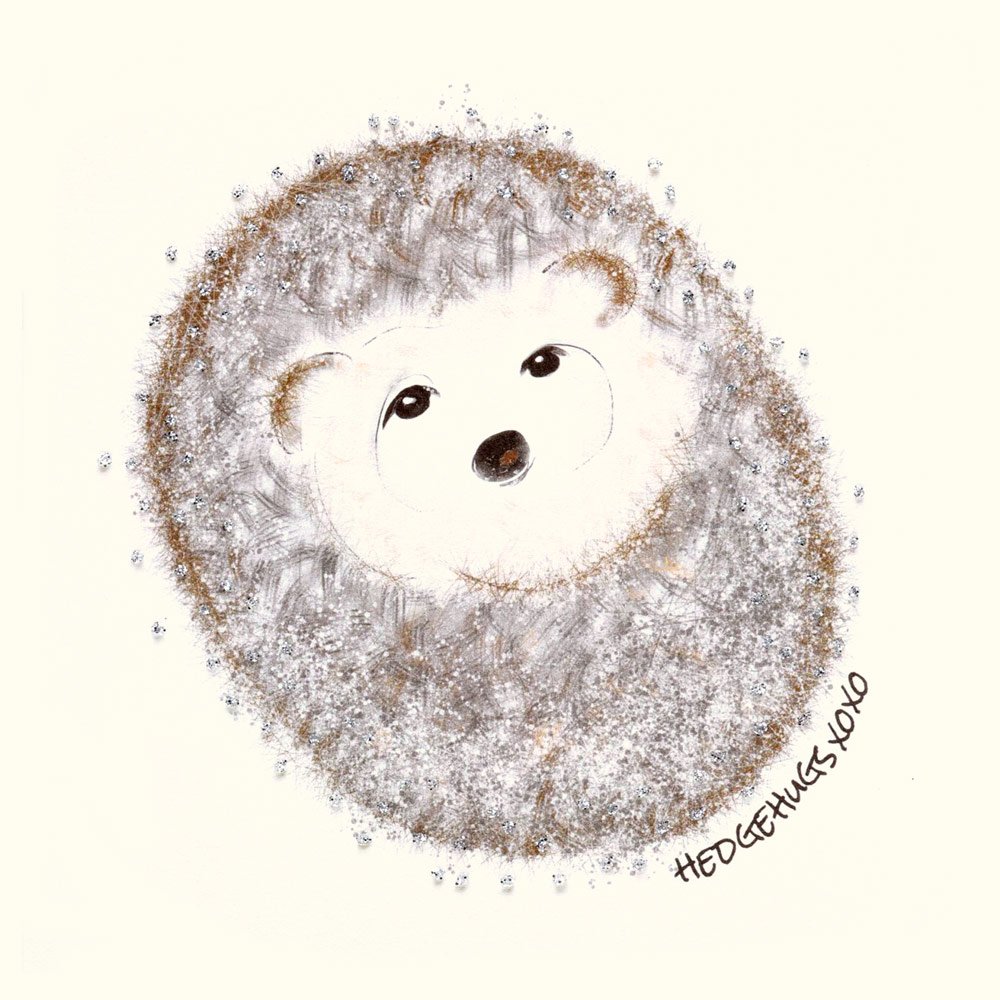 Hedgehugs English Graphics