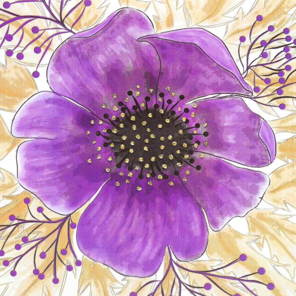 Hellebore English Graphics