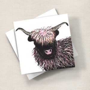 Highland Cow