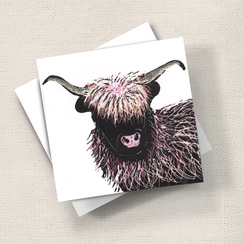 Highland Cow