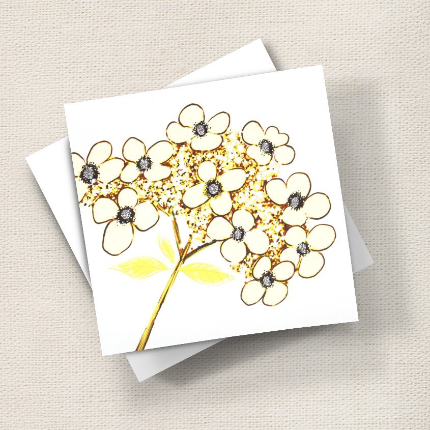 Hydrangea (Lemon)