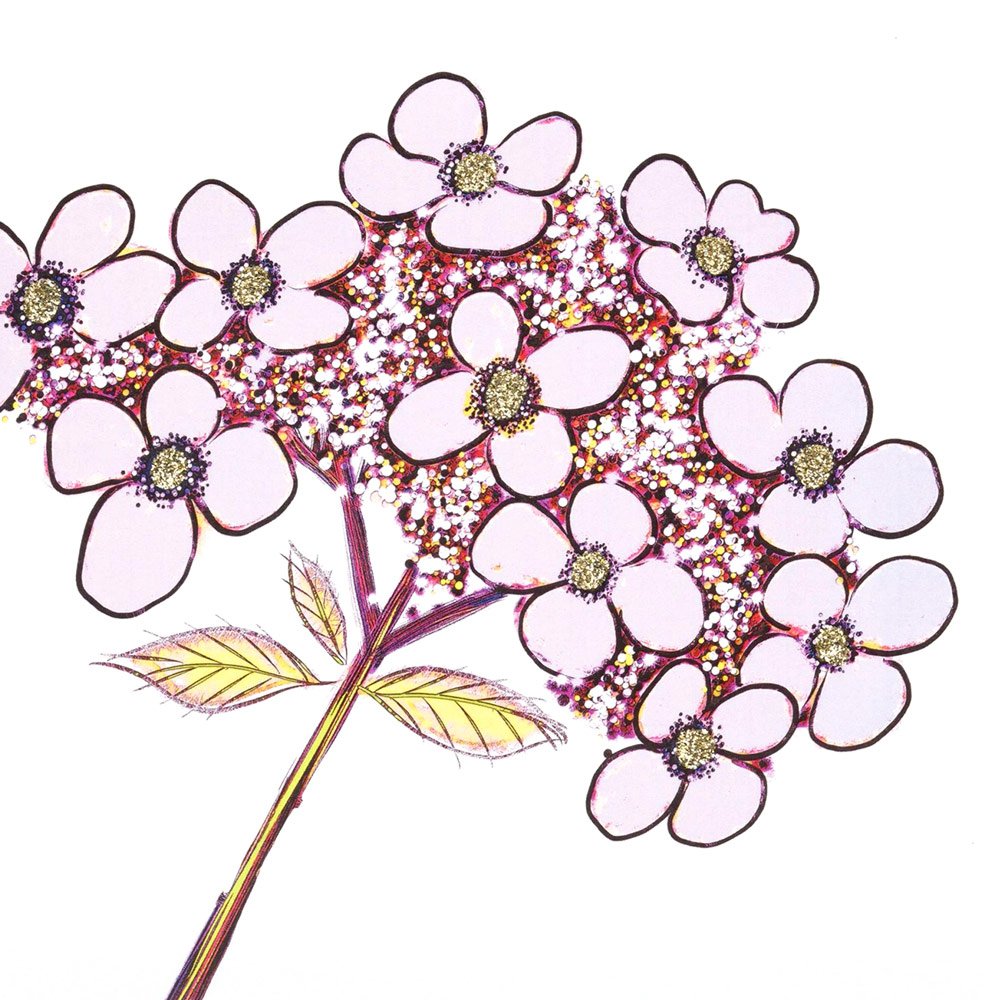 Hydrangea (Purple) English Graphics