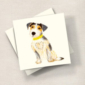 Jack Russell Puppy