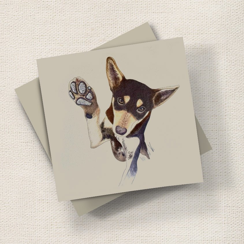 Kelpie