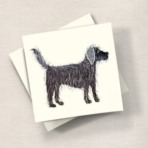 Labradoodle