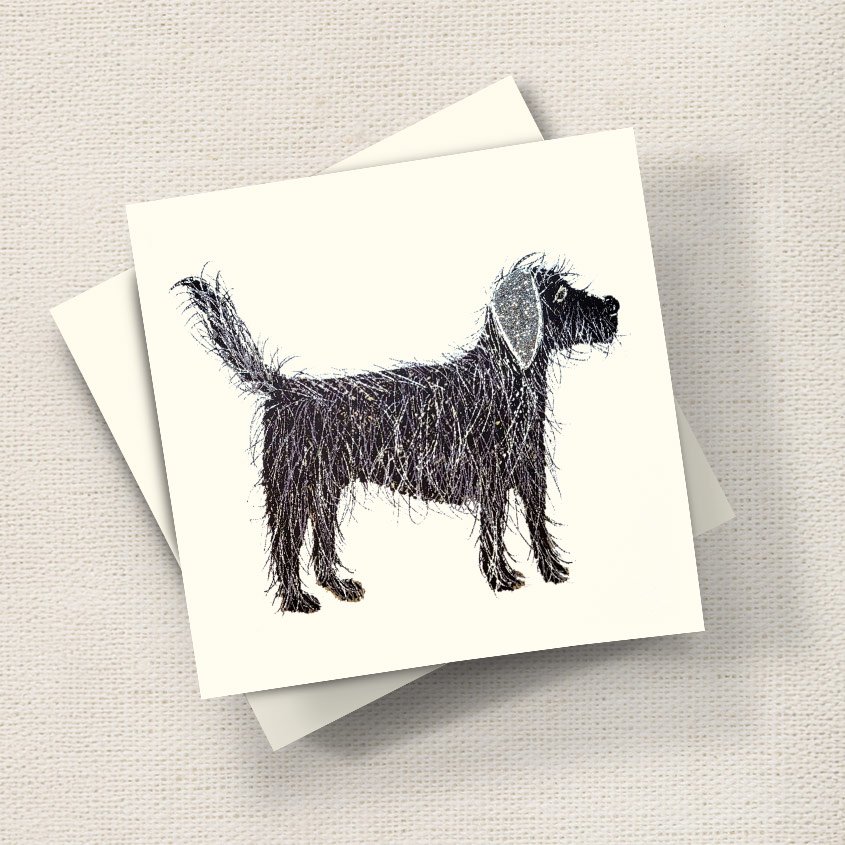 Labradoodle