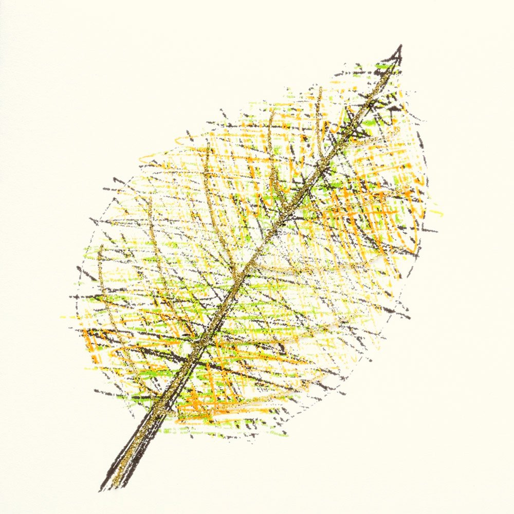 Leaf English Graphics