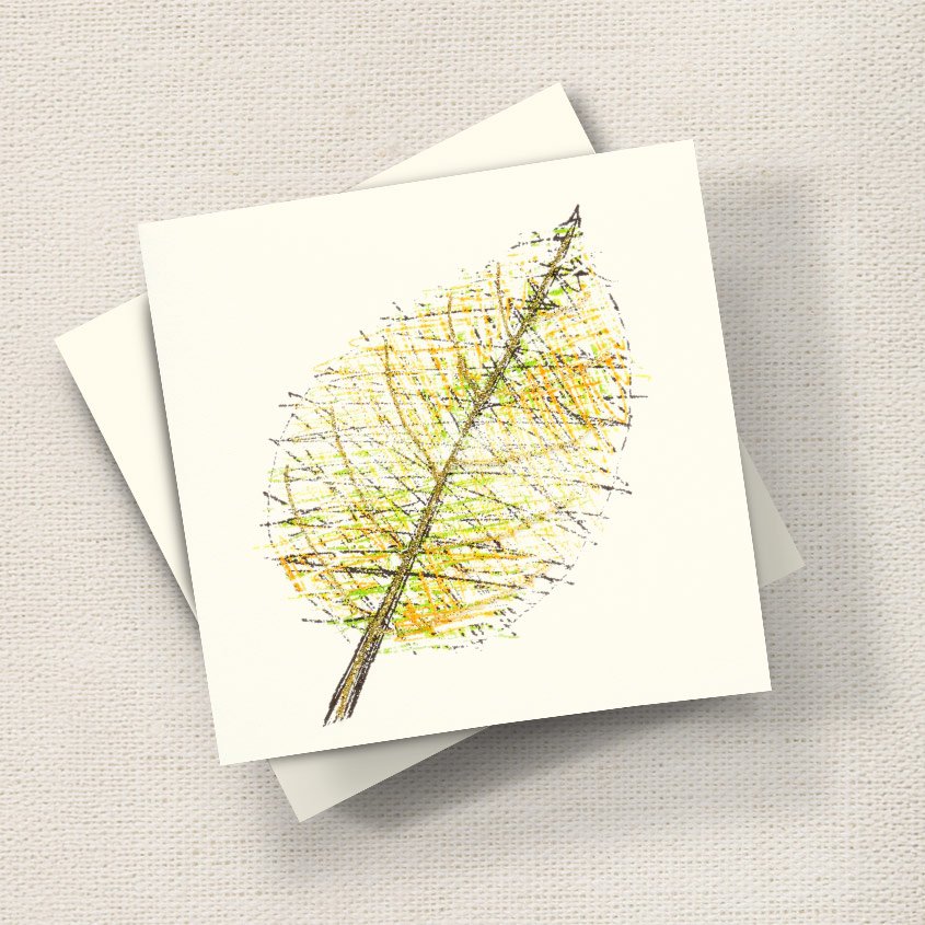 Leaf