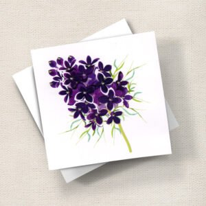 Purple Lilac