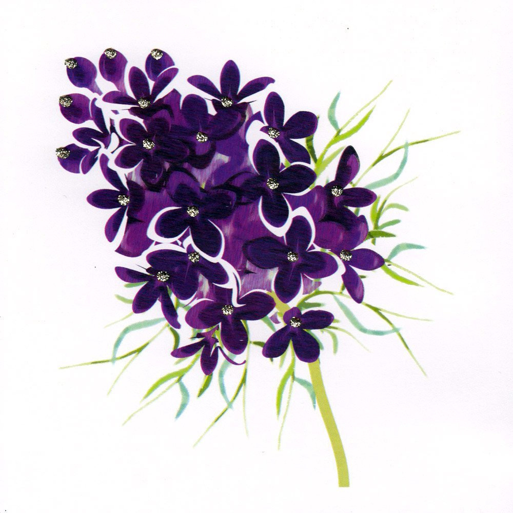 Purple Lilac English Graphics
