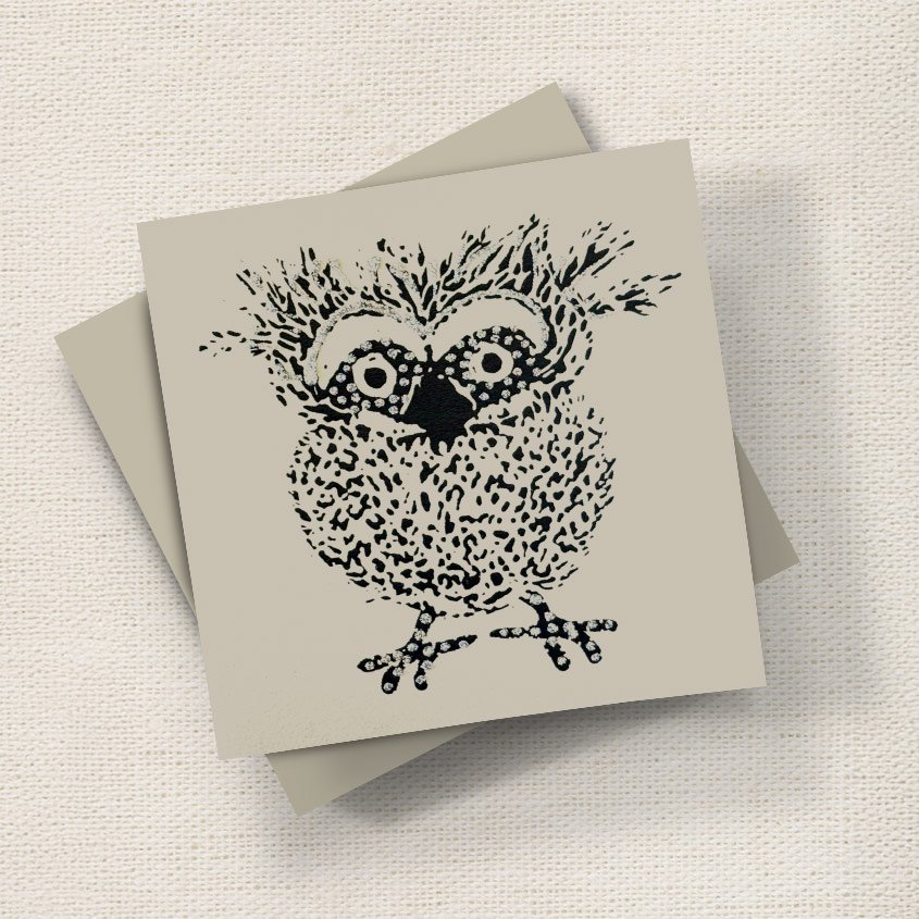 Little Owl