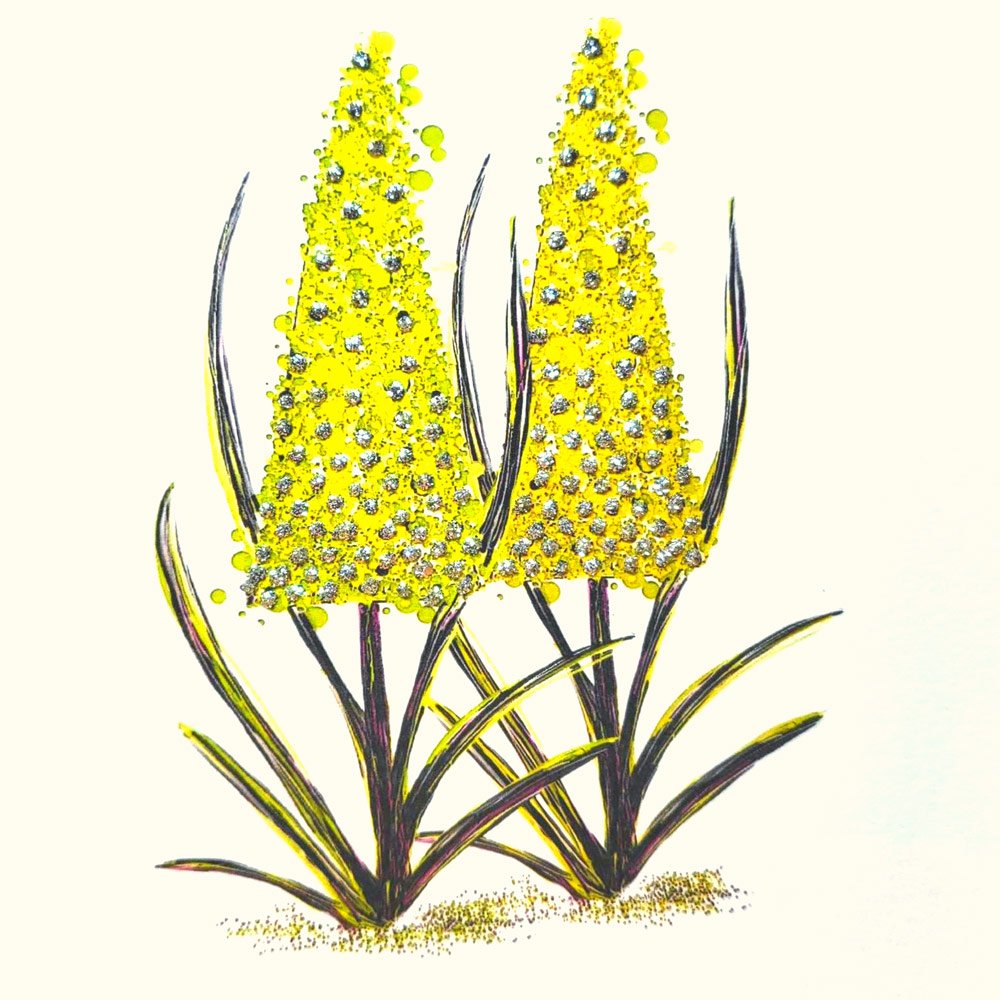 Lupin Green English Graphics