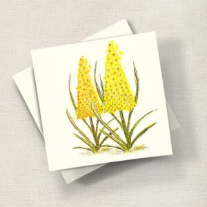 Lupin Yellow