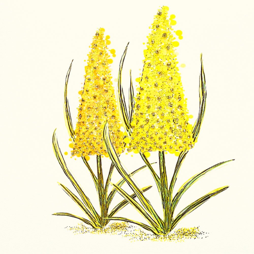 Lupin Yellow English Graphics